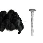 Ostrich Feather Chandelier - Image 48