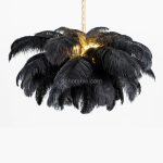 Ostrich Feather Chandelier - Image 37