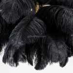 Ostrich Feather Chandelier - Image 41